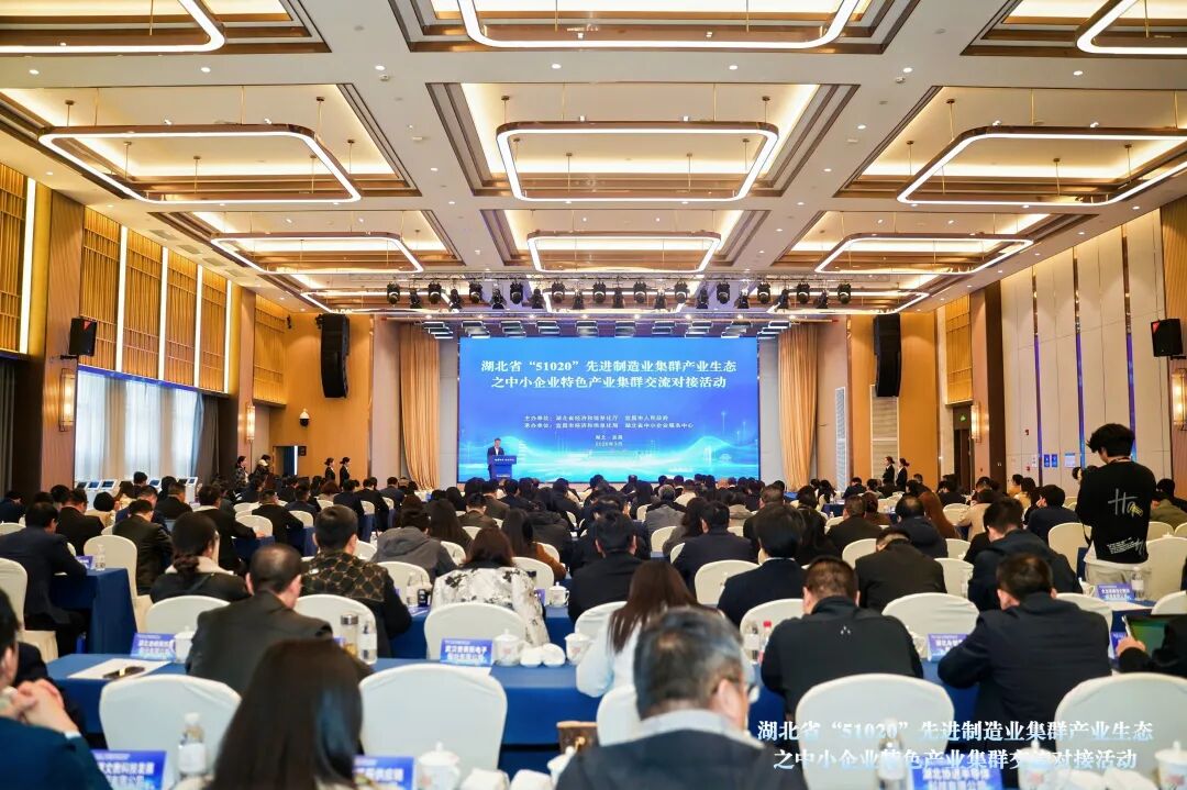 “51020”先进制造业集群产业生态之中小...